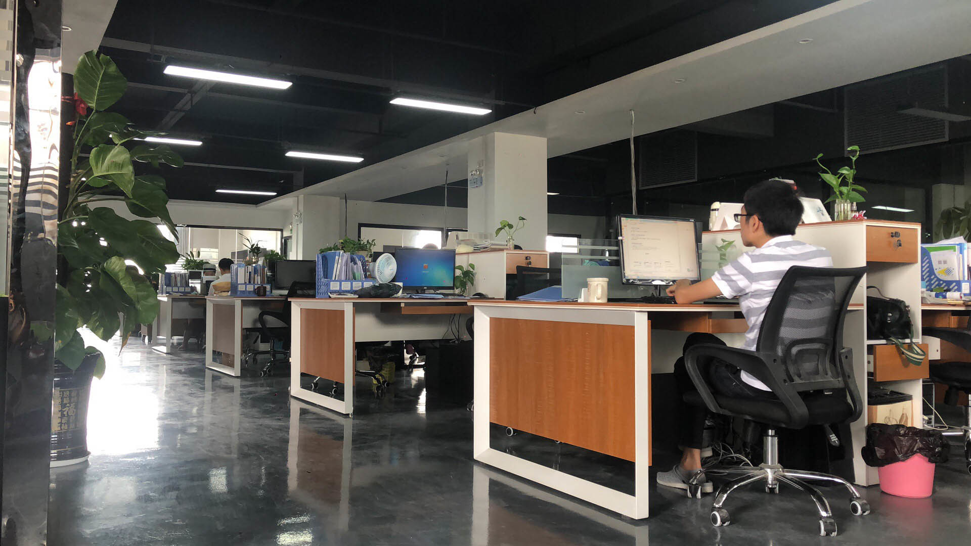 CHINA Display Labs LED Co.,Ltd Unternehmensprofil