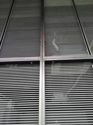 Transparente LED Film-Anzeige 1R1G1B, Zwischenwand-Anzeige 4000mcd LED